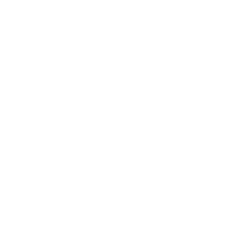 Hiconnexions